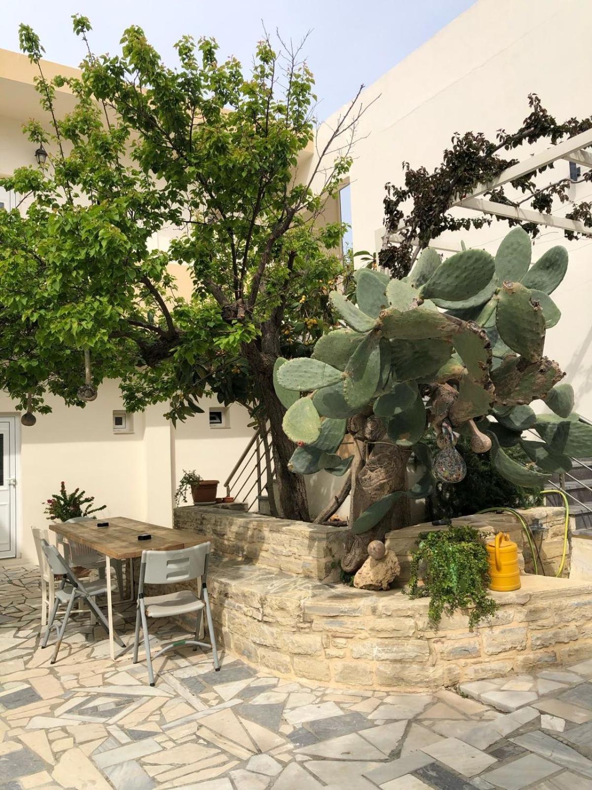 Antonios Hotel Apartments Matala Eksteriør billede